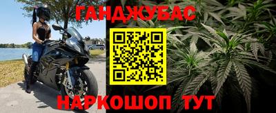 дмт Заводоуковск