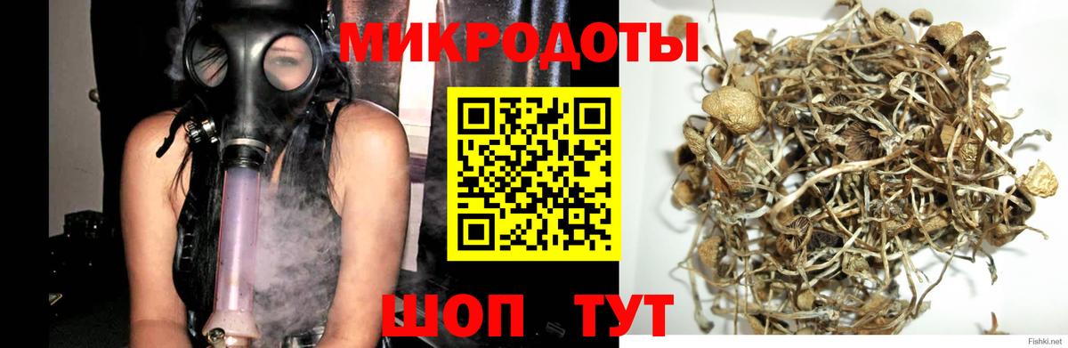 Касимов  Галлюциногенные грибы Magic Shrooms  Вход с VPN 
