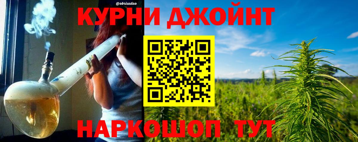 Конопля конопля Касимов